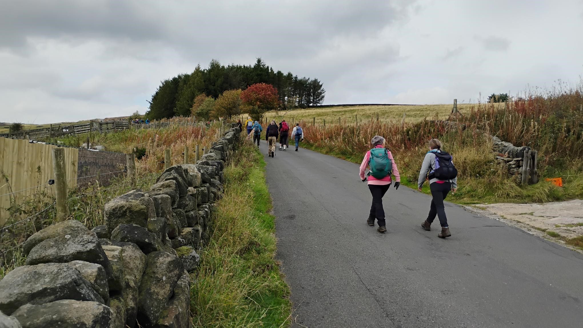 Walkers on Autumn road